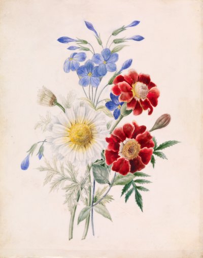 Fiori e margherita bianca, c.1840 da French School